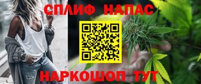 спиды Обь