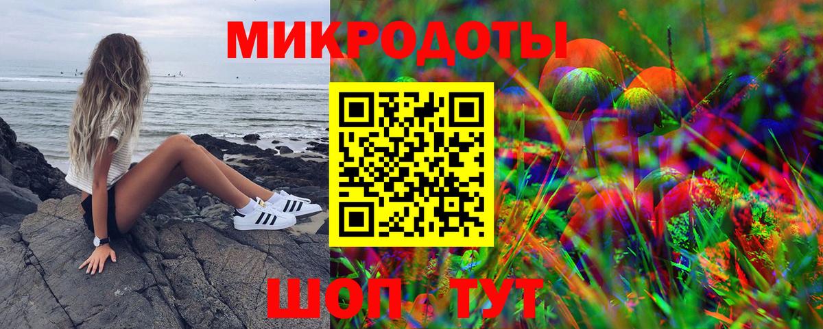 Псилоцибиновые грибы мицелий Тавда