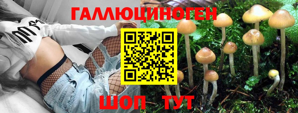 Галлюциногенные грибы Psilocybe  Вход с VPN  Тавда 